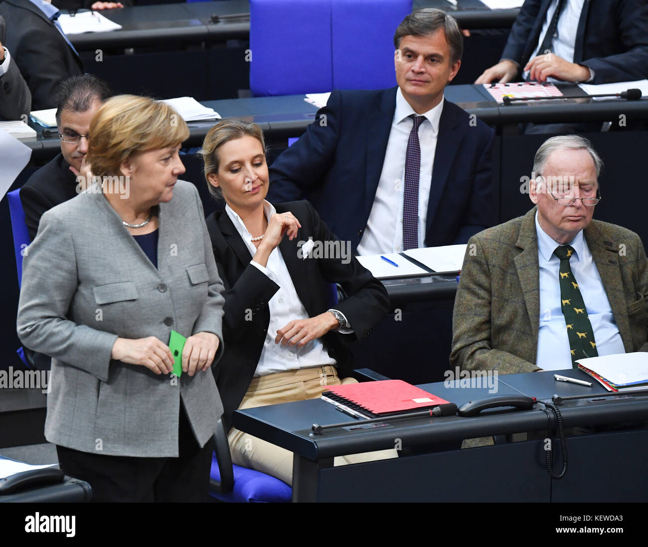 Alice Weidel Stock Photos & Alice Weidel Stock Images - Page 2 - Alamy