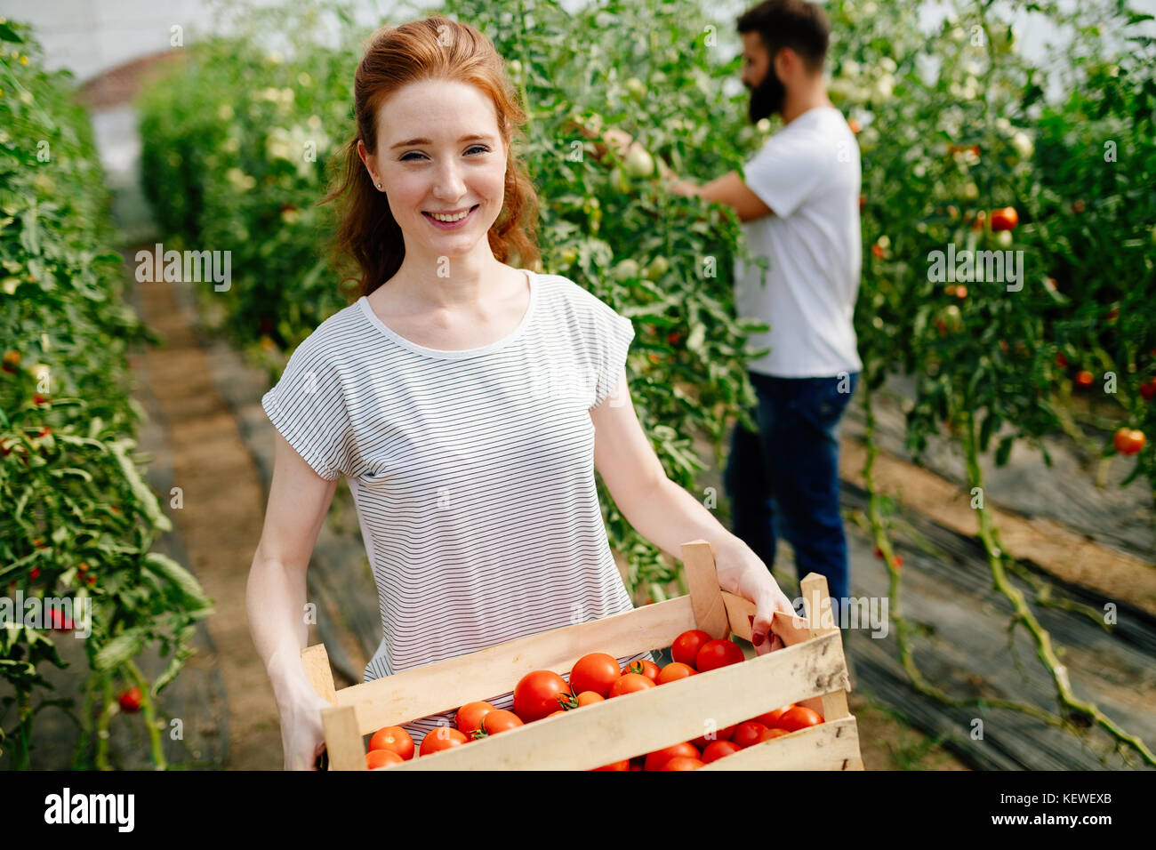 Attractive happy female farmer working in greenhouse Stock Photo - Alamy