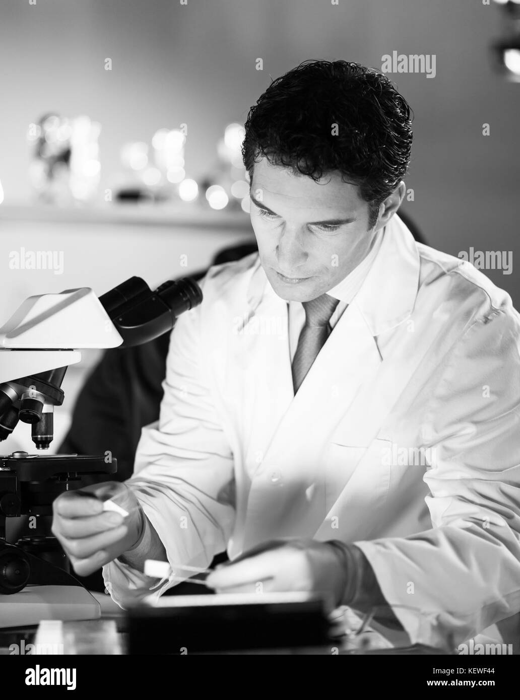 Life scientist researching in the laboratory. Stock Photo