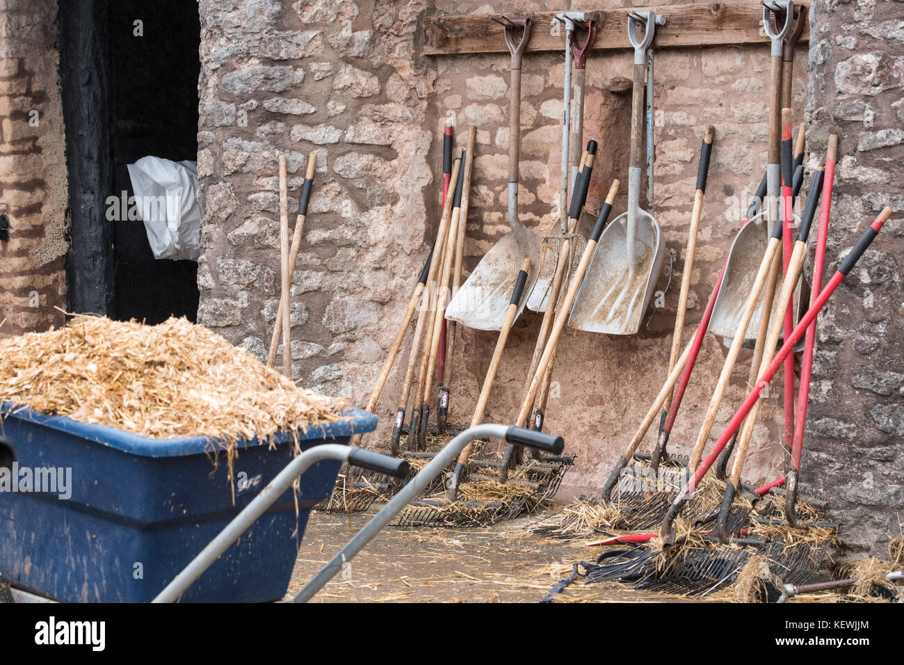 Mucking out stable hires stock photography and images Alamy