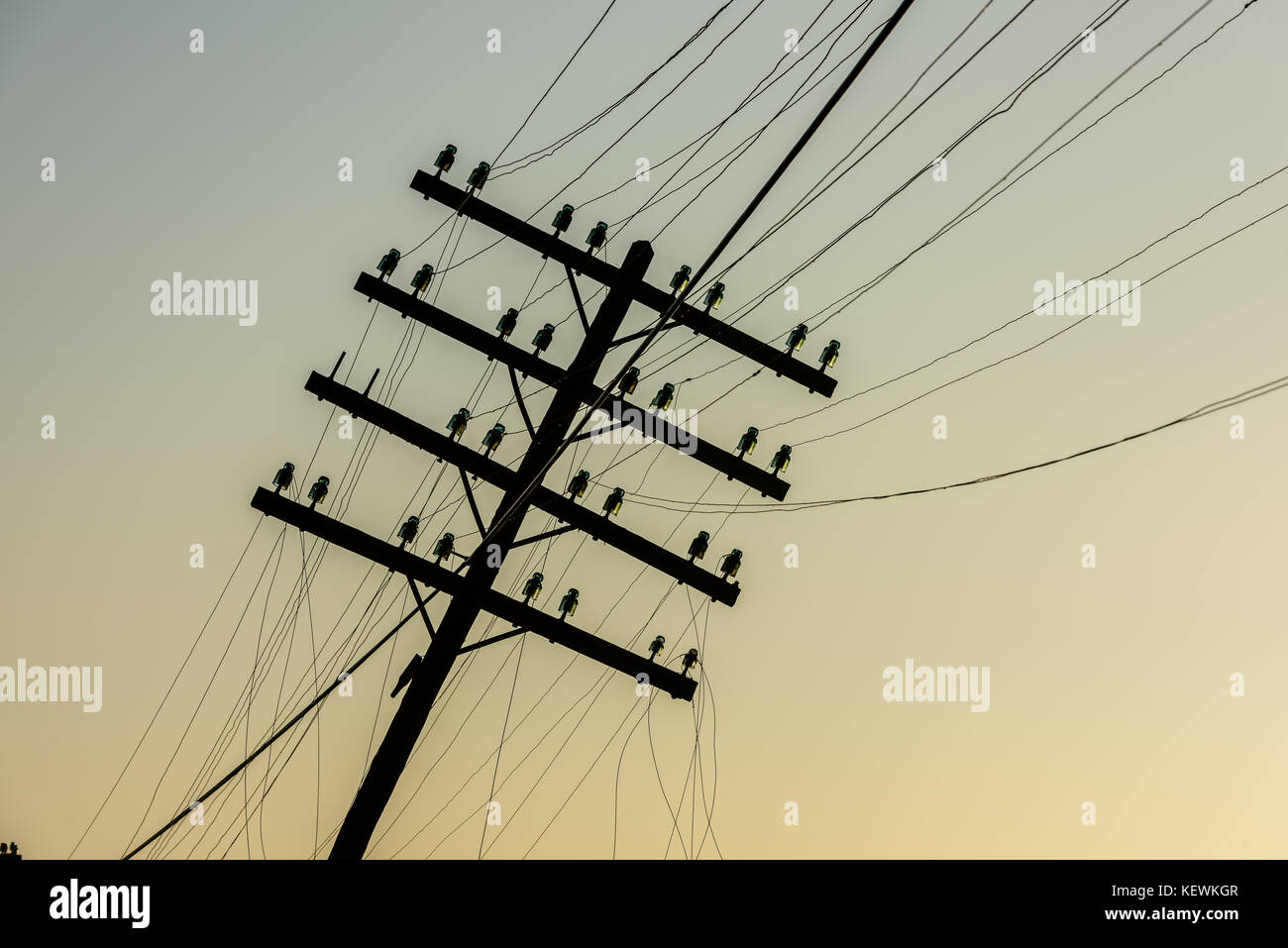 Old wooden pillar with power line in sunrise. Wooden pylon with wires. Stock Photo