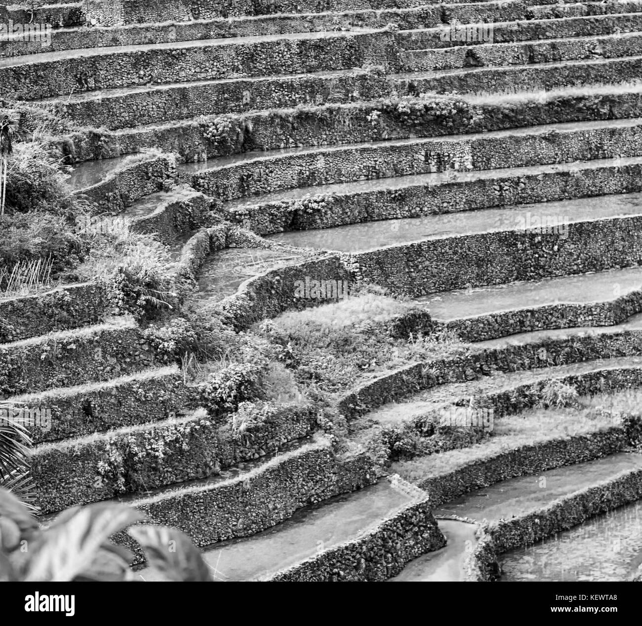Philippines rice unesco Black and White Stock Photos & Images - Alamy
