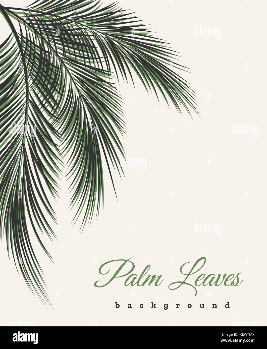 Palm leaves vintage background. Palm tree leaf feathers pattern vector african or brazilian wallpaper with text Stock Vector