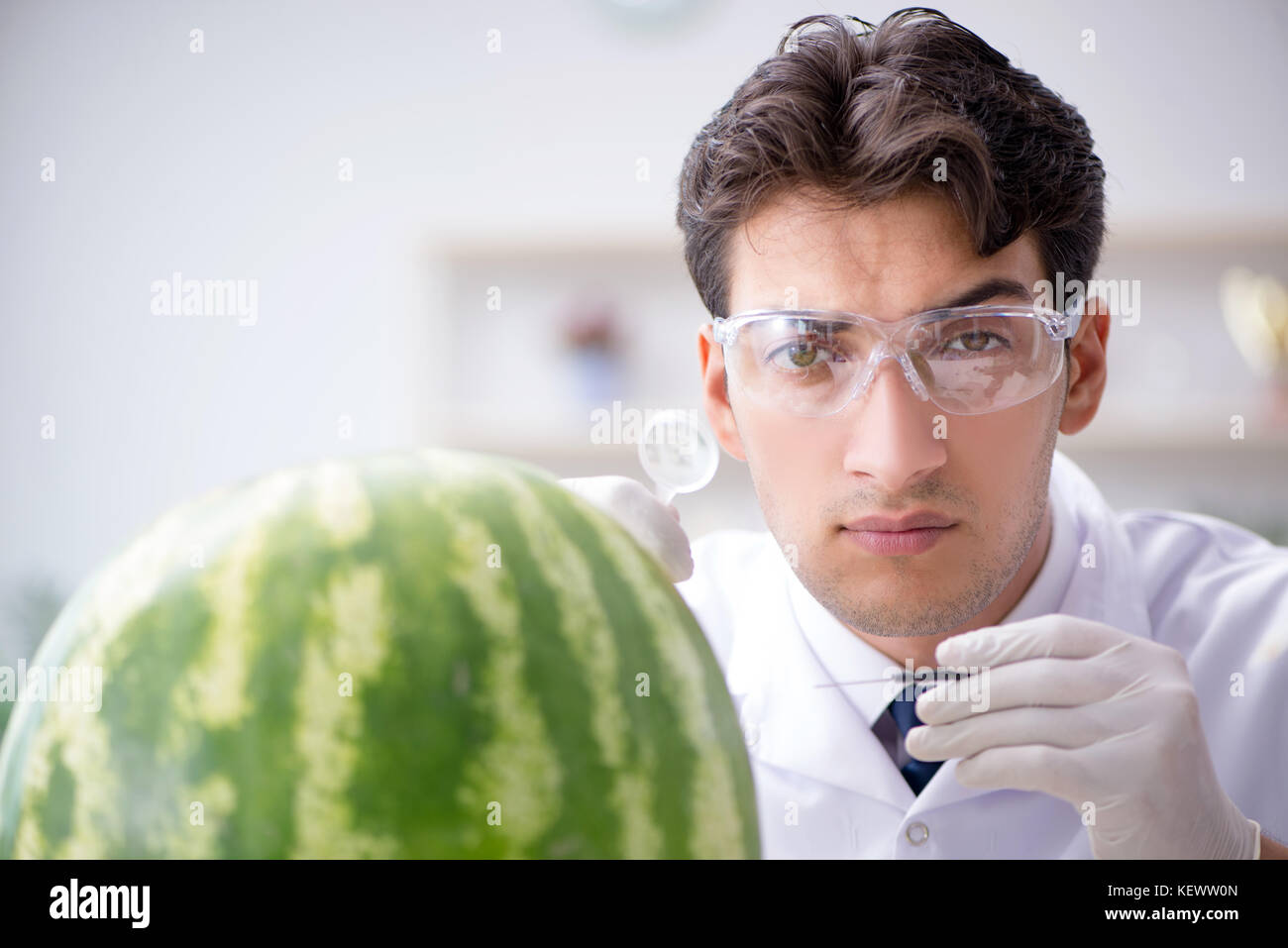 Scientist testing watermelon in lab Stock Photo - Alamy