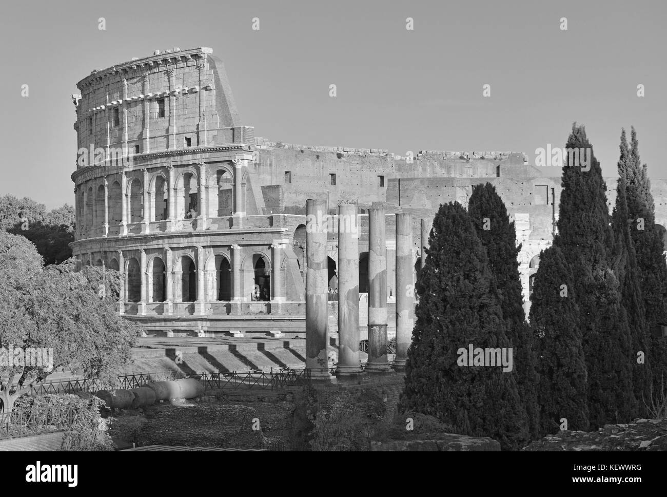 The Colosseum at night, a place where gladiators fought as well as being a venue for public entertainment, Rome Italy Stock Photo