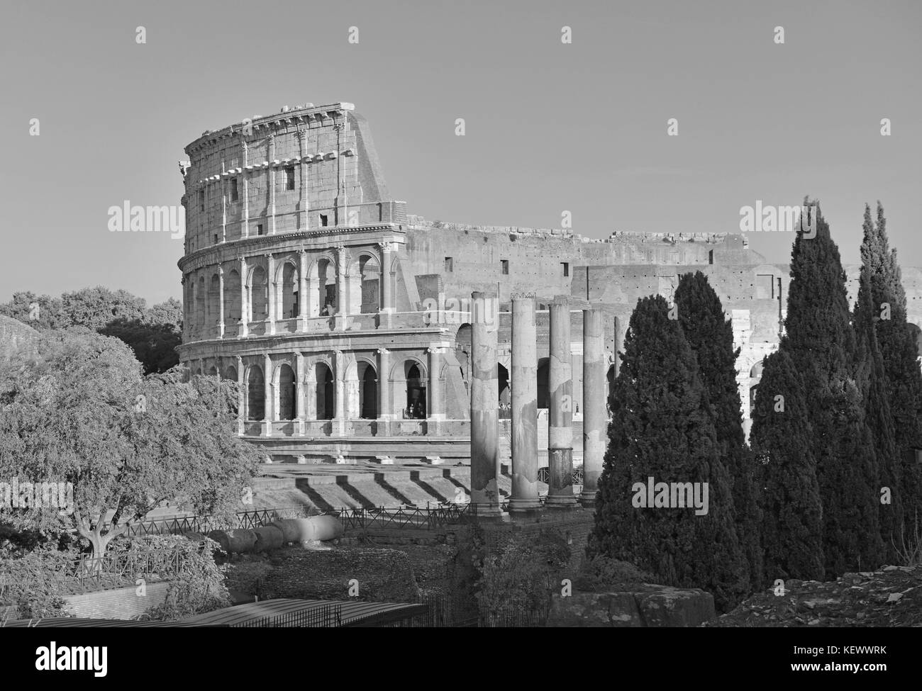 The Colosseum at night, a place where gladiators fought as well as being a venue for public entertainment, Rome Italy Stock Photo