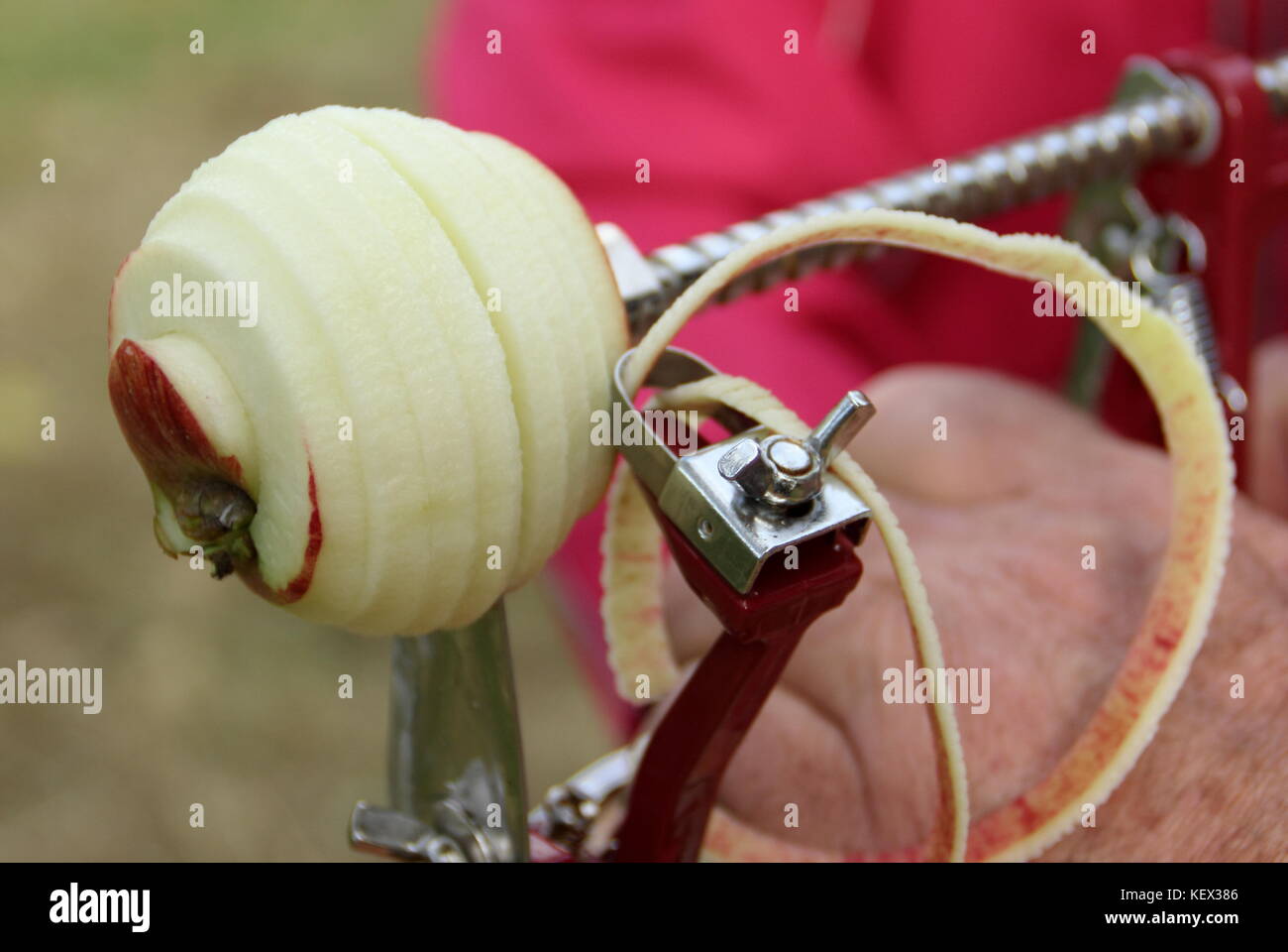 Peeling the skin from an apple using a manual peeling machine, UK Stock Photo
