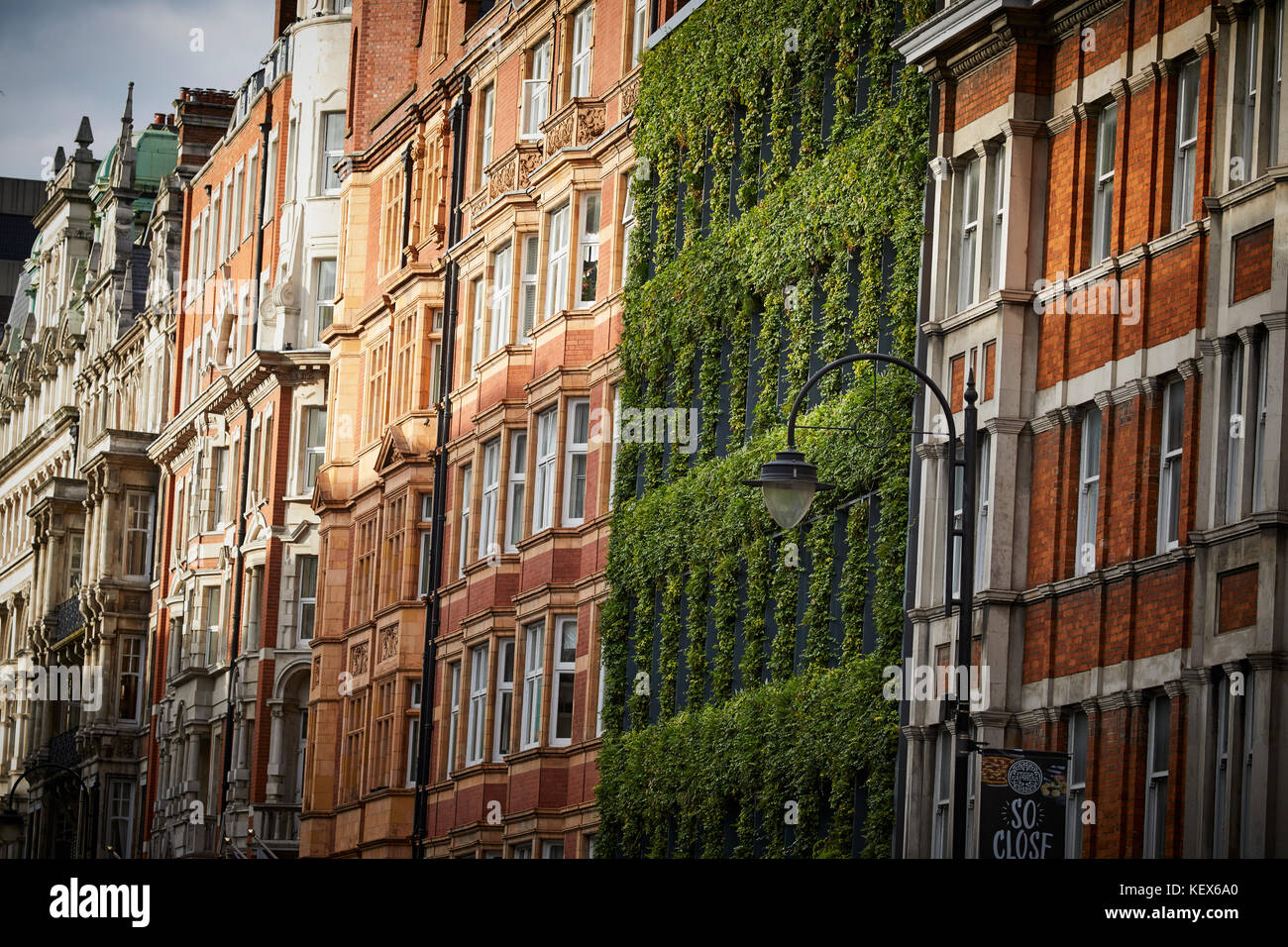 Evergreen plants Living Wall for the façade of synergy House on