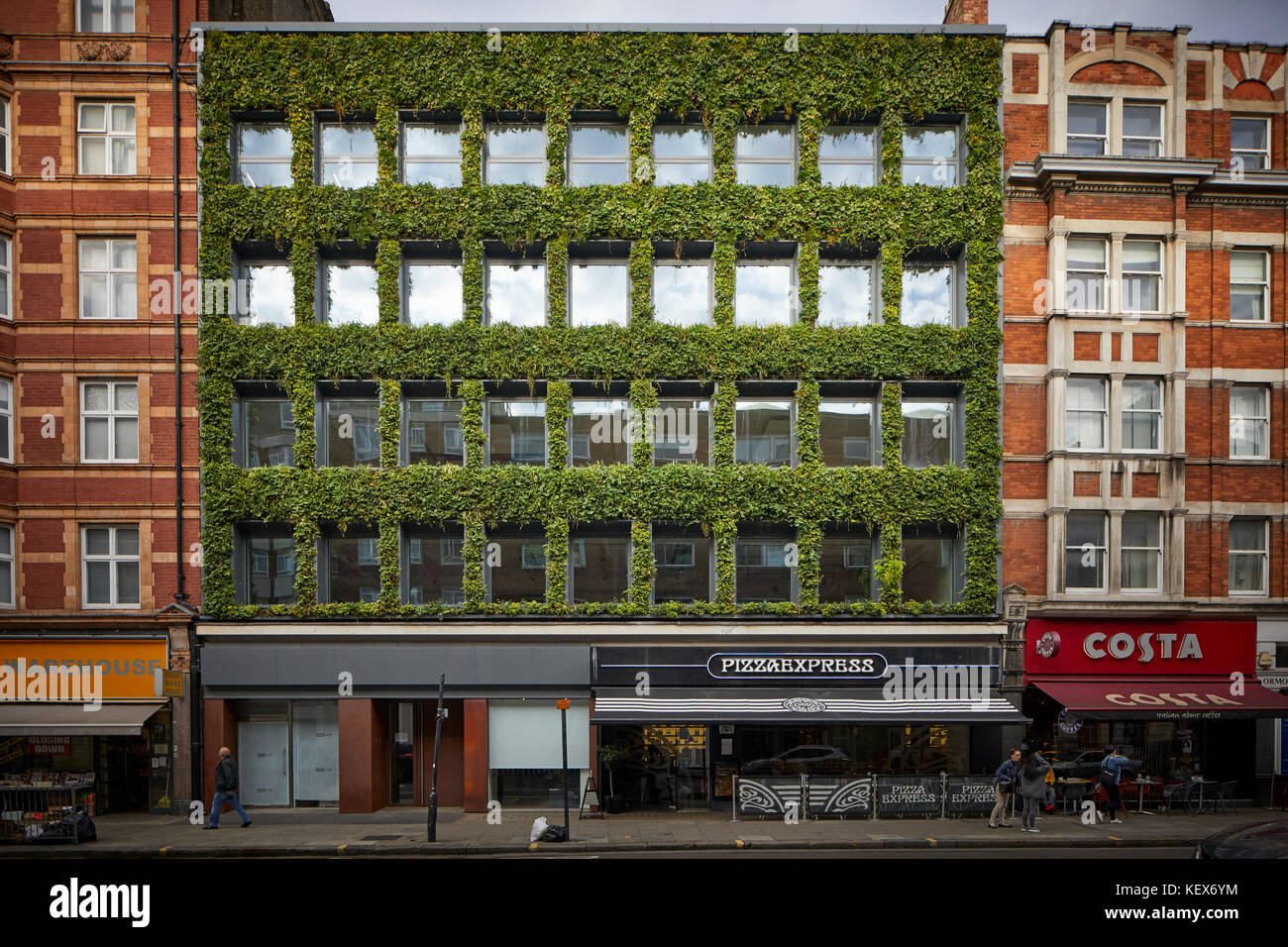 Evergreen plants Living Wall for the façade of synergy House on Southampton row in London the capital city of England Stock Photo