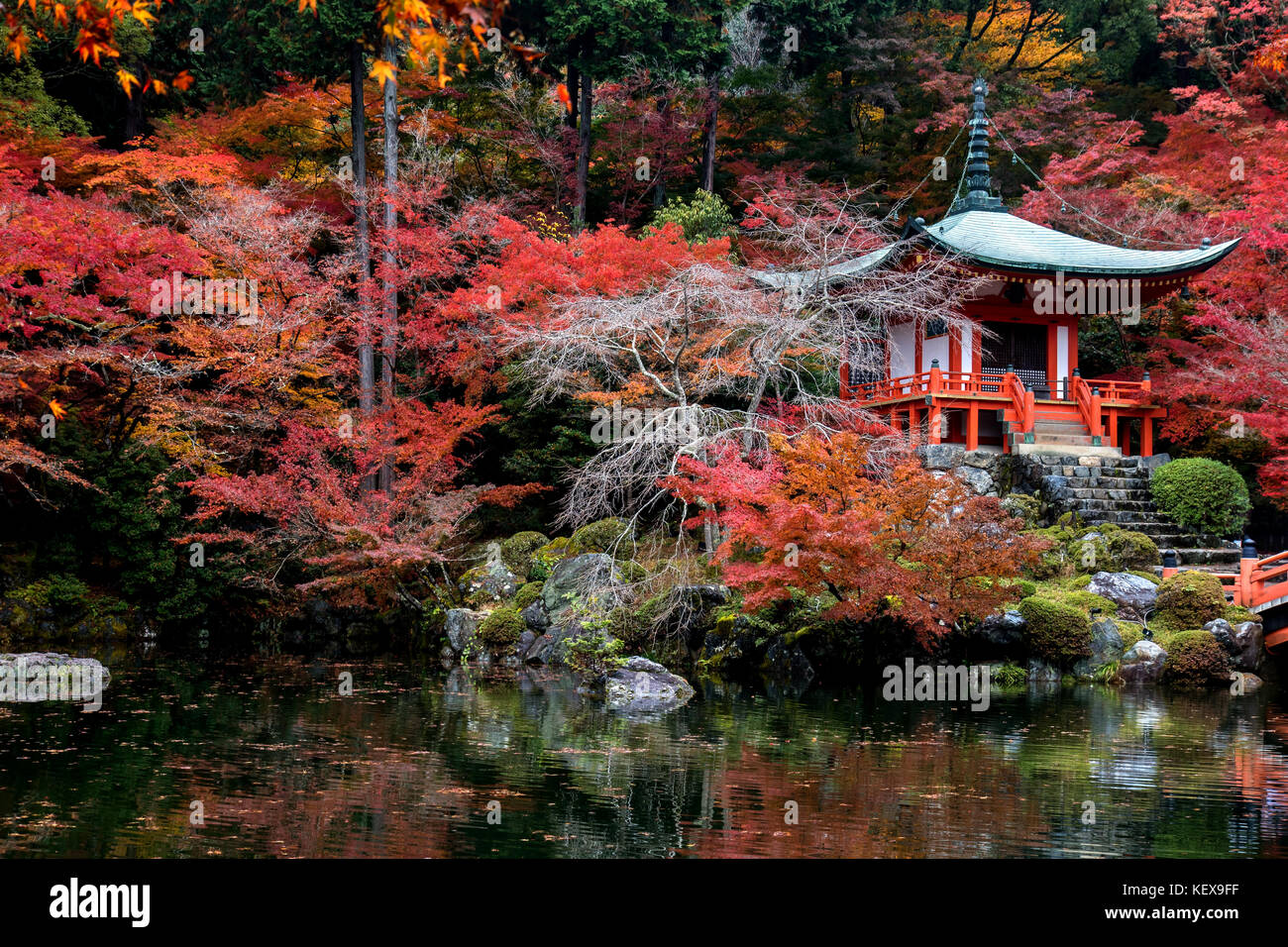 Autumn in the Japanese Garden. A pavilion and bridge over pond in the ...
