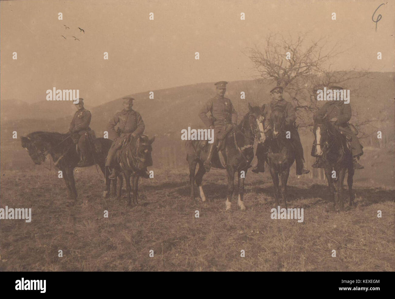 World war 1 combat hi-res stock photography and images - Alamy