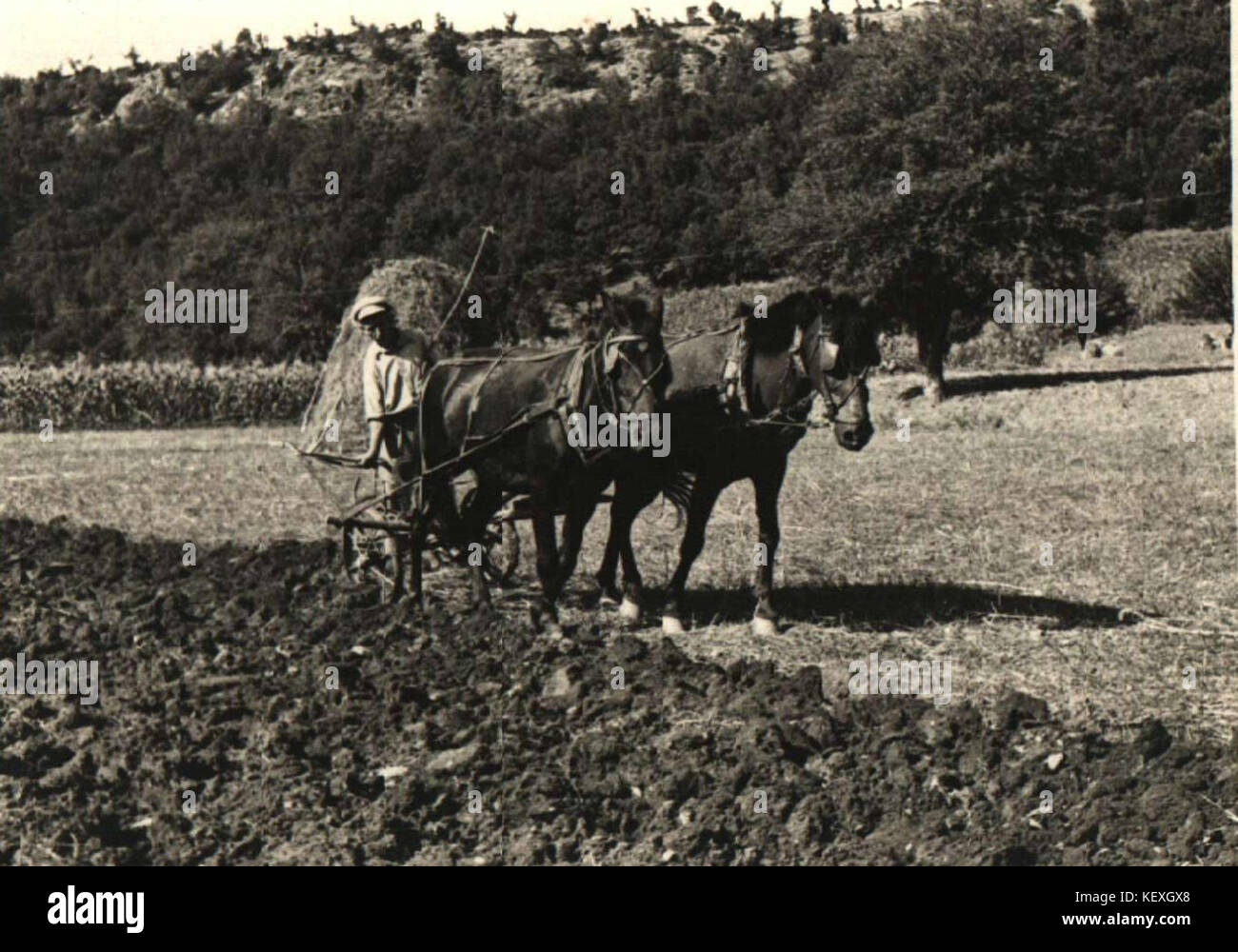 2072k 1 316 32 Stock Photo Alamy