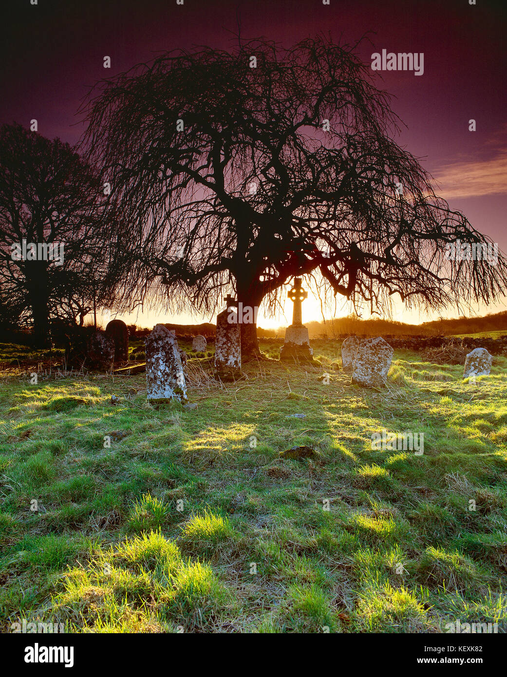 Ireland. Ancient headstones in graveyard at sunrise Stock Photo - Alamy