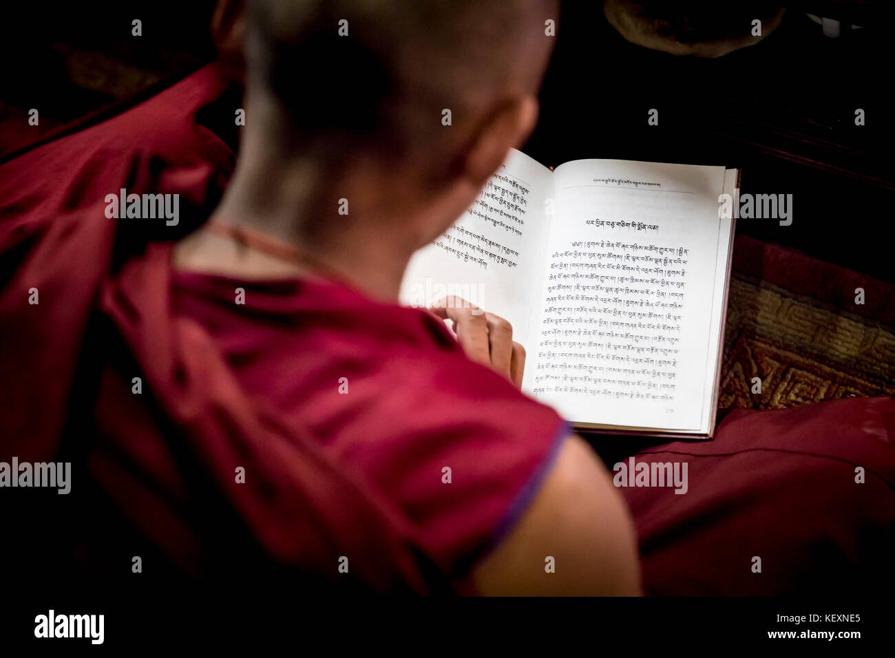 Over the shoulder view of young monk in monastery chanting from prayer book, Boudhanath Temple, Kathmandu, Nepal Stock Photo