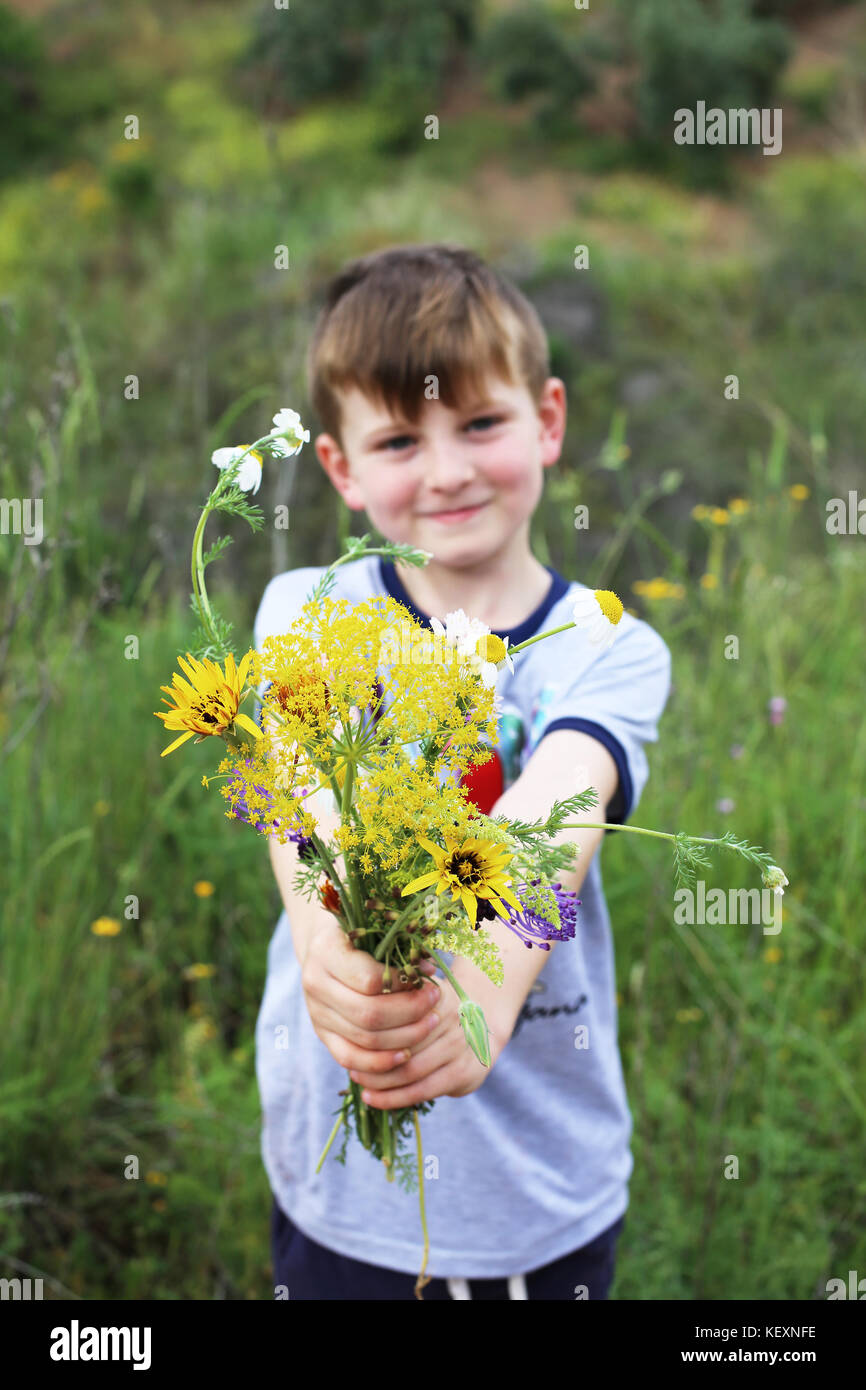 Gift of Flowers Stock Photo Alamy