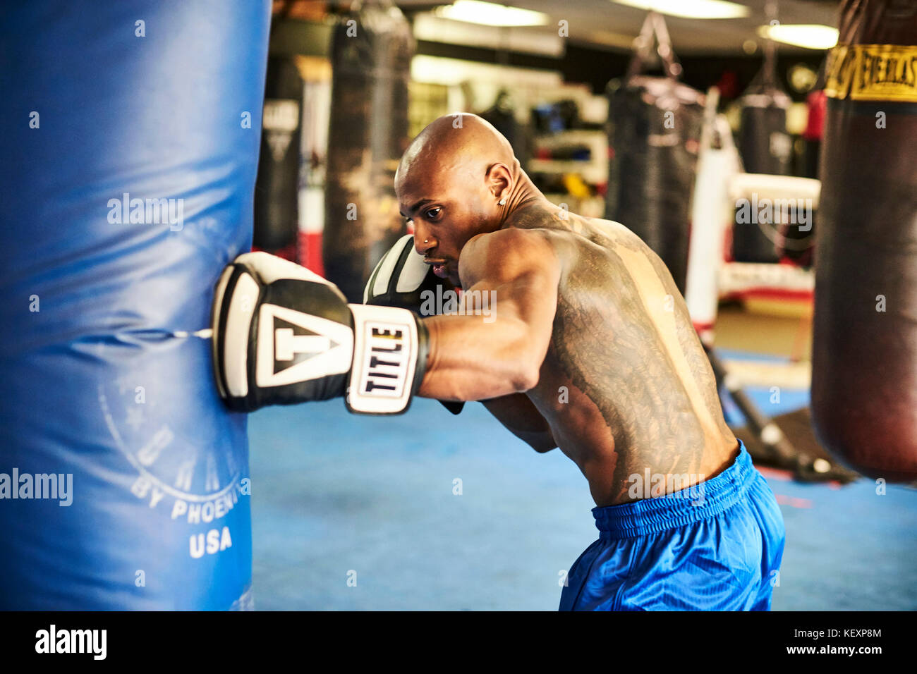 Male boxer training in gym with punching bag, Taunton, Massachusetts