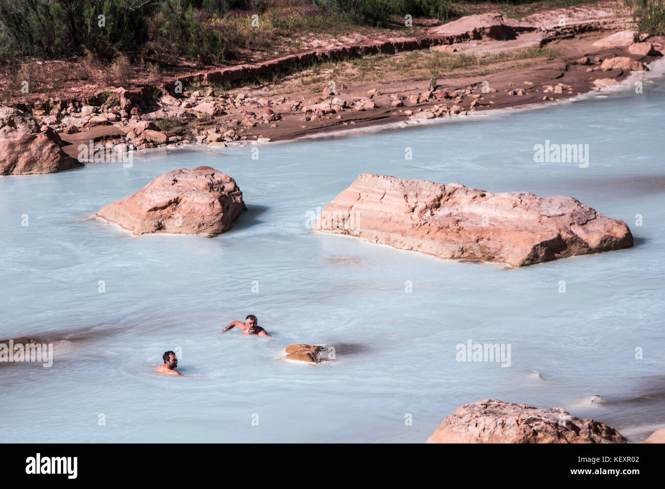 Two Men swim in murky river water, Grand Canyon Colorado Stock Photo