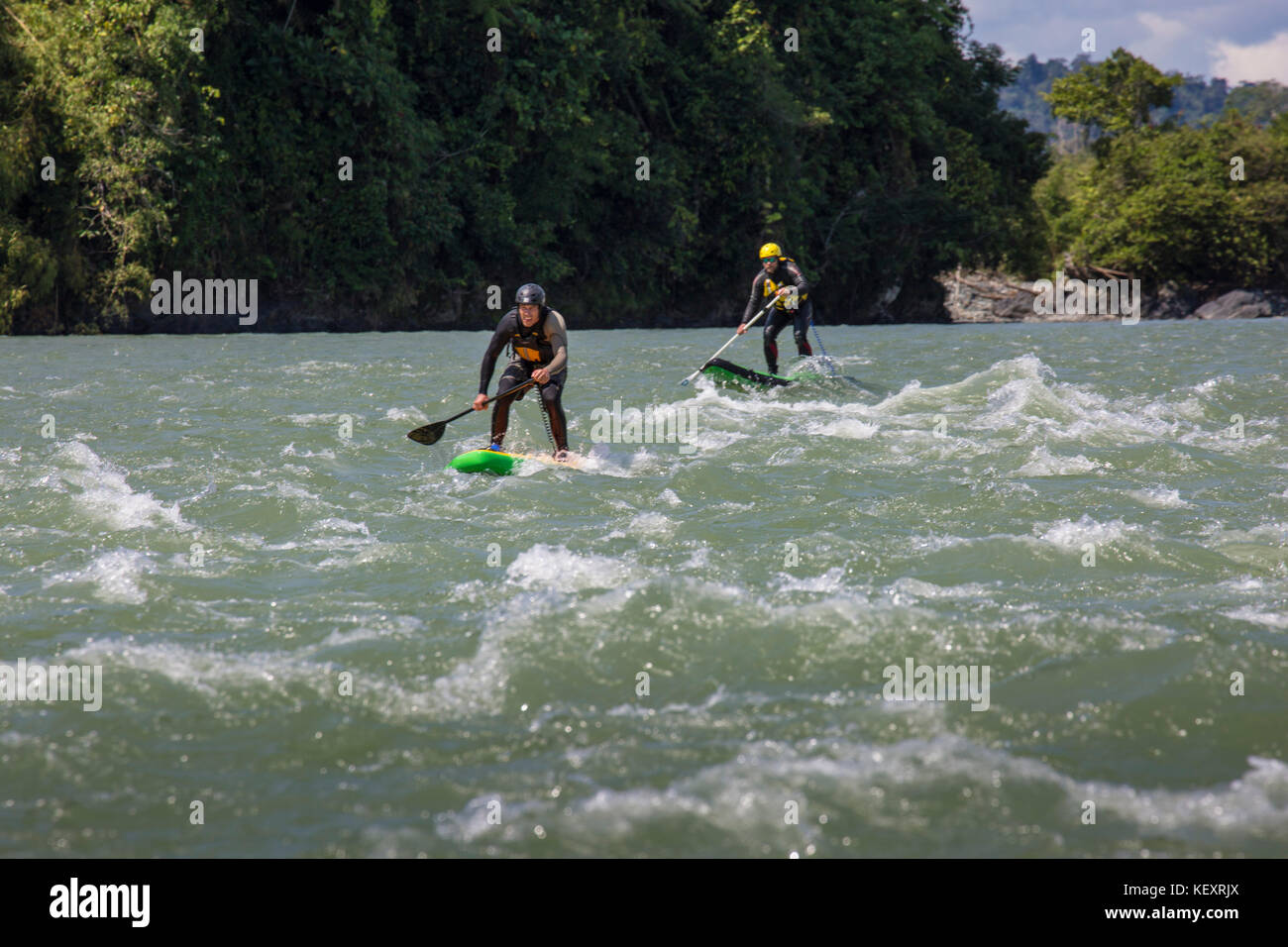 Photograph of two men paddleboarding on stand-up paddleboards, Peruvian Amazon, Manu National Park, Peru Stock Photo