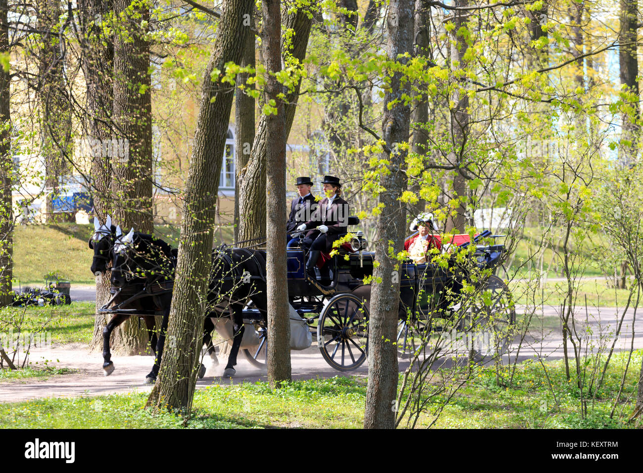 Photograph of horses pulling traditional carriage, Catherine Park, Pushkin, St. Petersburg, Russia Stock Photo
