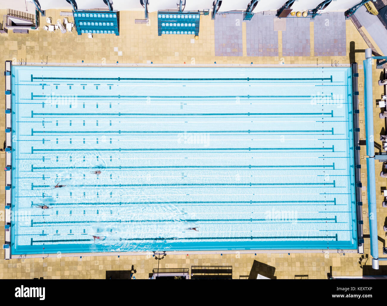 Aerial View Of Swimmers In Olympic Swimming Pool Tenerife Top Training Santa Cruz De Aerial View Of Swimmers In Olympic Swimming Pool Tenerife Top Training Santa Cruz De