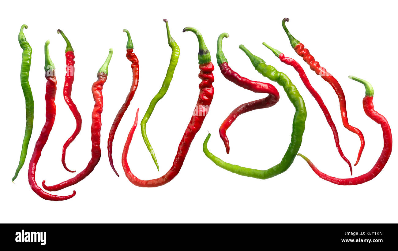 Bangalore Whippet's Tail chile peppers (C. annuum x C. frutescens cross). Clipping path for each Stock Photo