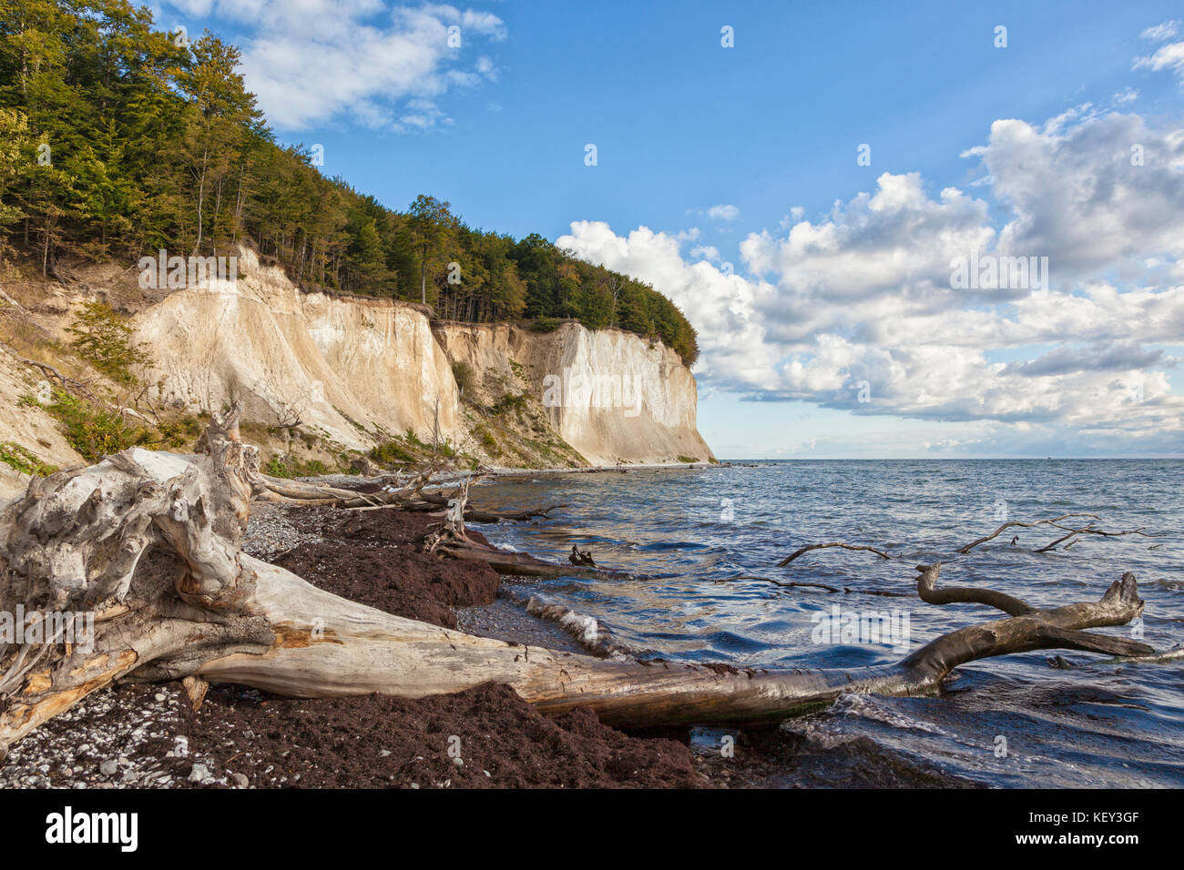 Chalk cliffs at Wissower Ufer, Rügen, Mecklenburg-West Pomerania Stock Photo