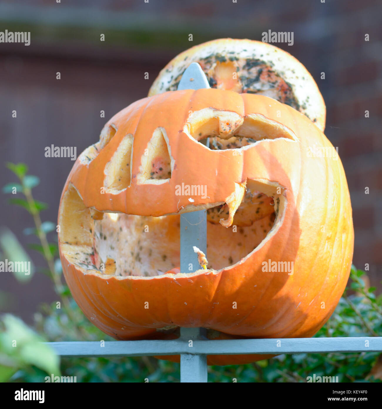 Pumpkins decorated for Halloween and impaled on metal fence posts Stock Photo