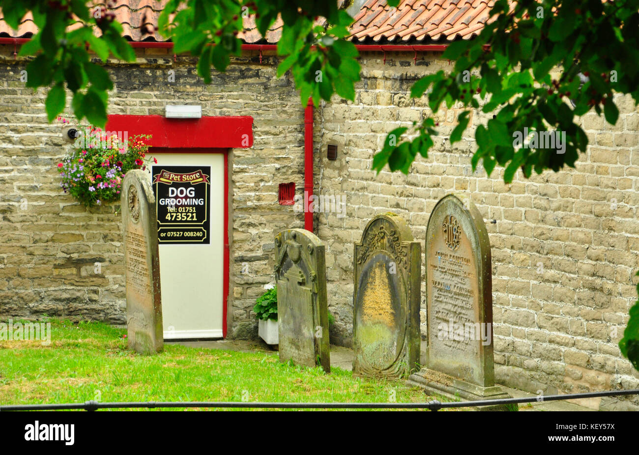 A curious place for a Pet Store and dog grooming parlour in a graveyard of a church in Pickering, Yorkshire.UK. Stock Photo