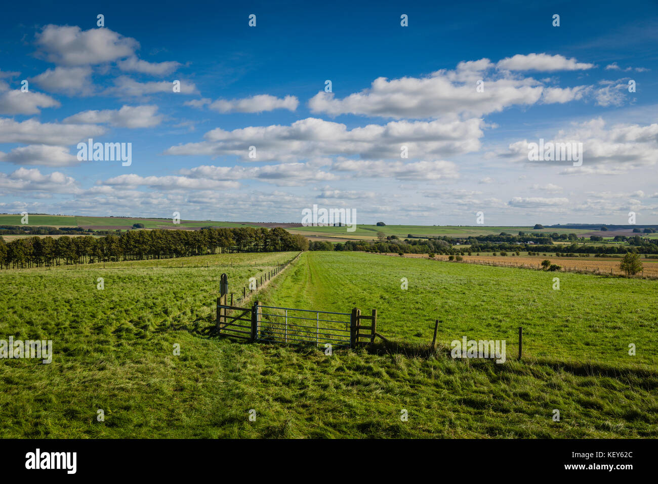 Windmill Hill, close to Avebury, site of ancient burial mounds. Stock Photo