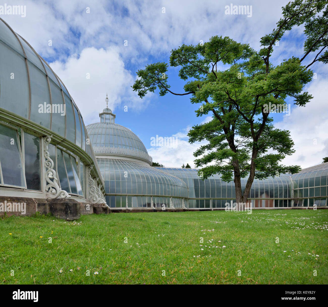 Glasgow, Botanic Gardens Stock Photo Alamy