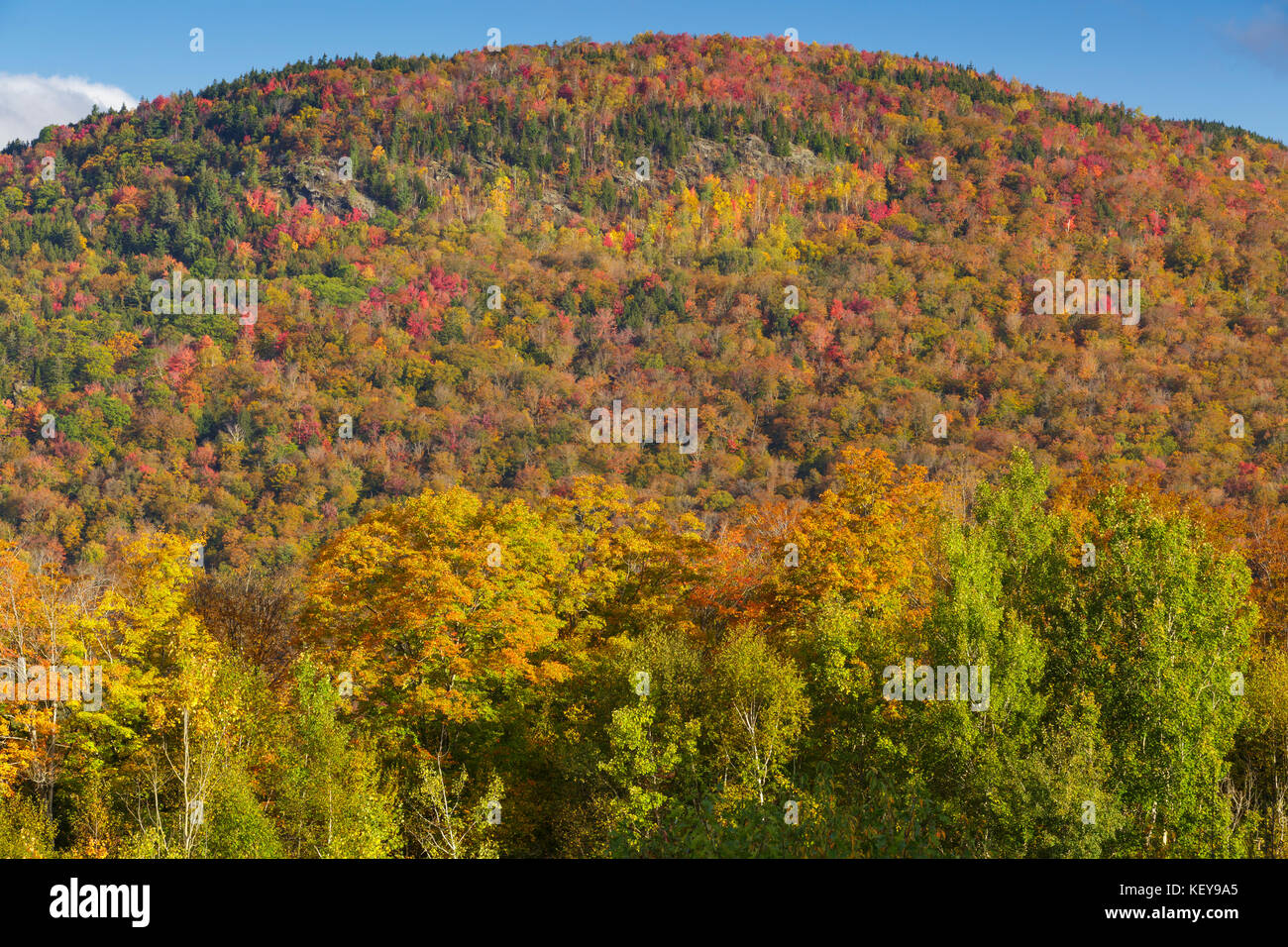 Early morning sun on Little Coolidge Mountain in Lincoln, New Hampshire