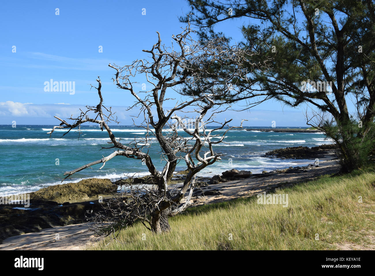 Hiking the Kahuku shoreline on the Oahu's North Shore is a beautiful way to discover Hawaii