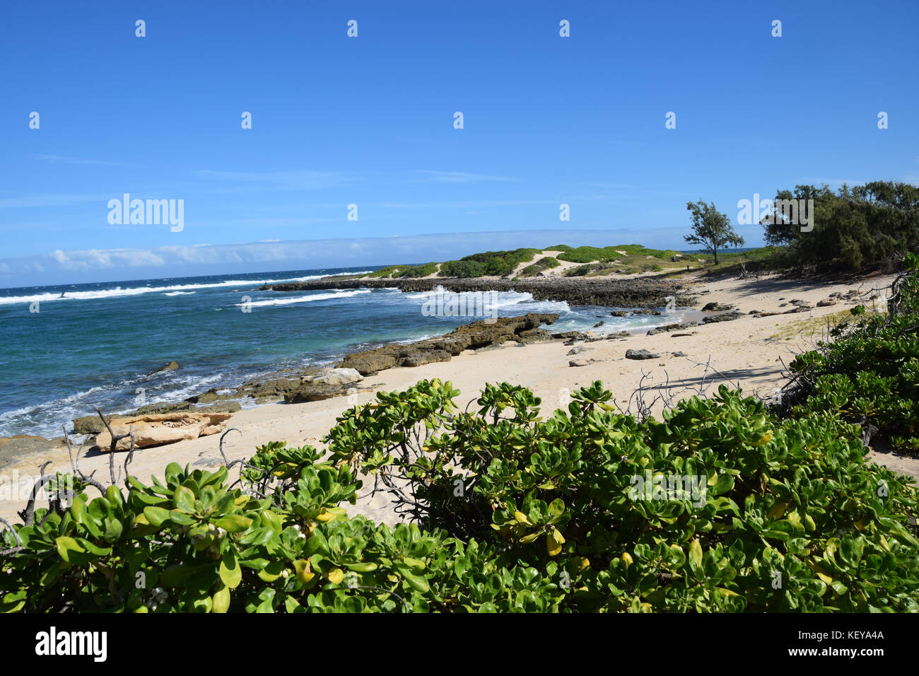 Kahuku hawaii hires stock photography and images Alamy
