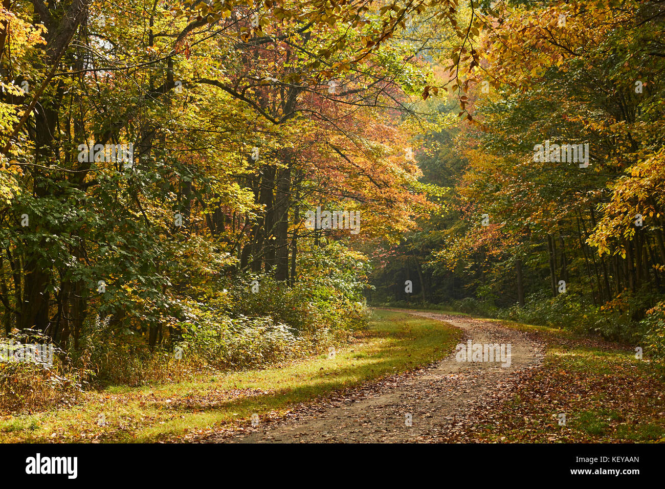The Great Allegheny Passage trail at Rockwood, Pennsylvania in early