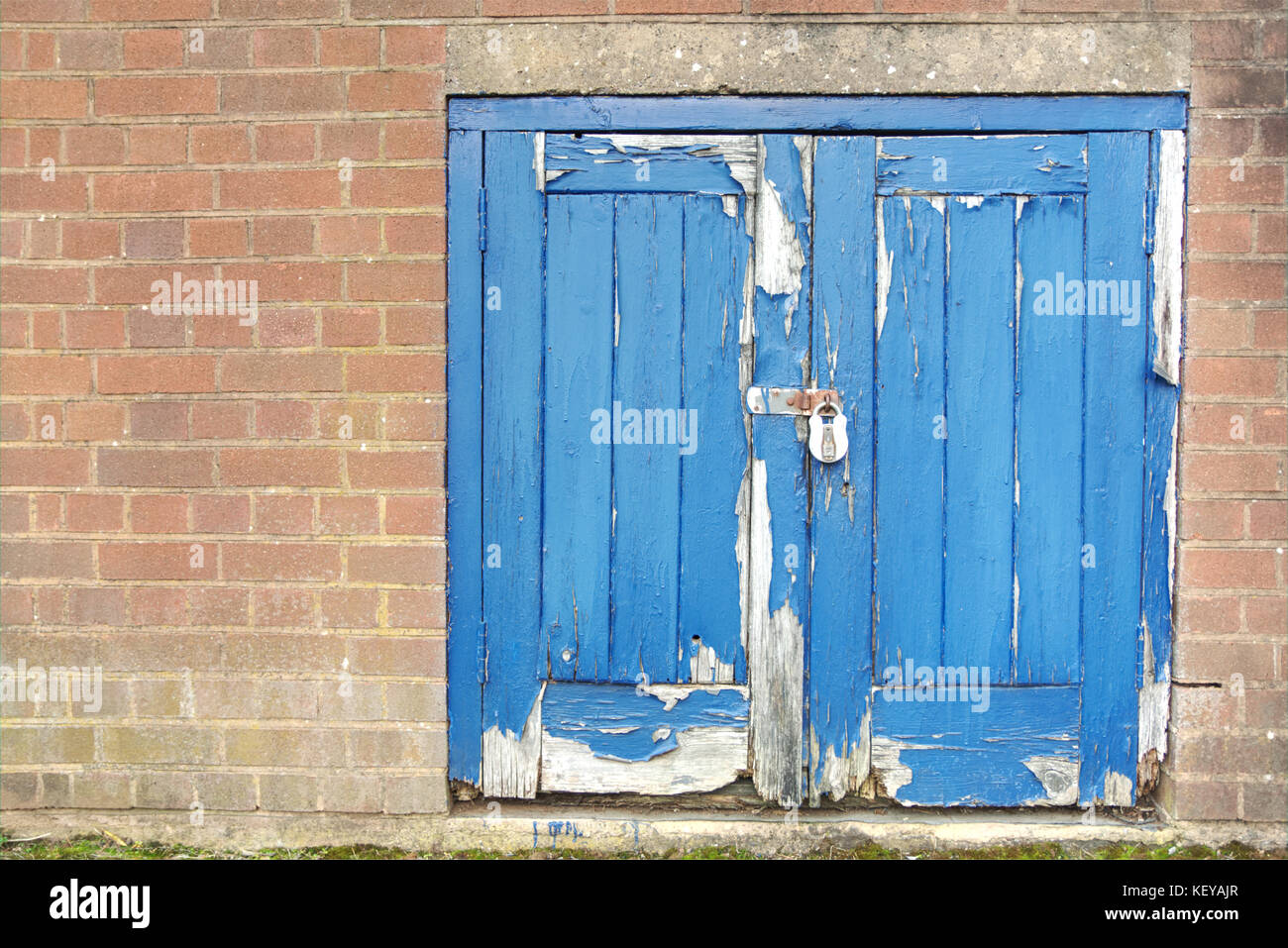 Old faded blue wooden door with flaky paint in red brick wall with padlock and hasp and staple Stock Photo