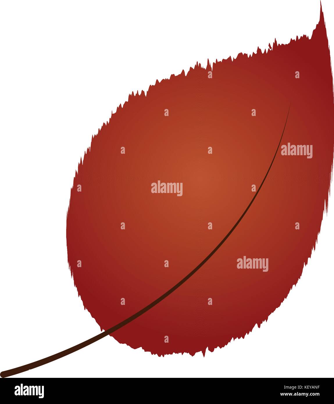 Isolated fall leaf Stock Vector Image & Art - Alamy