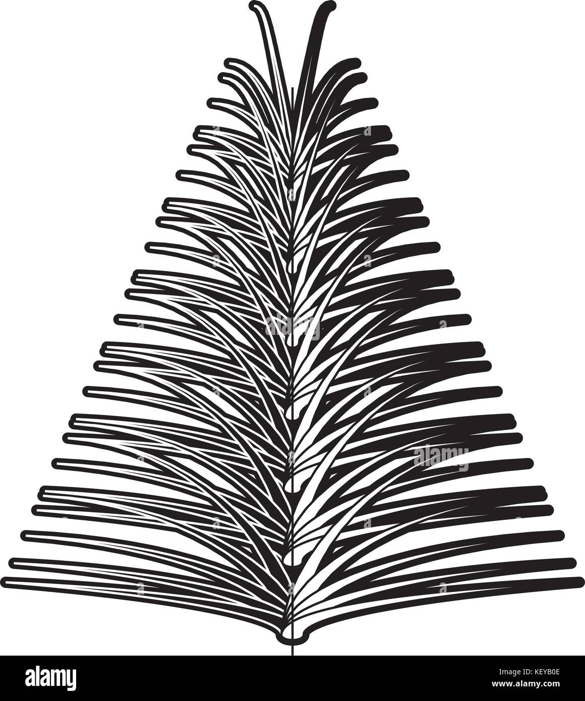 pine tree icon over white background vector illustration Stock Vector ...