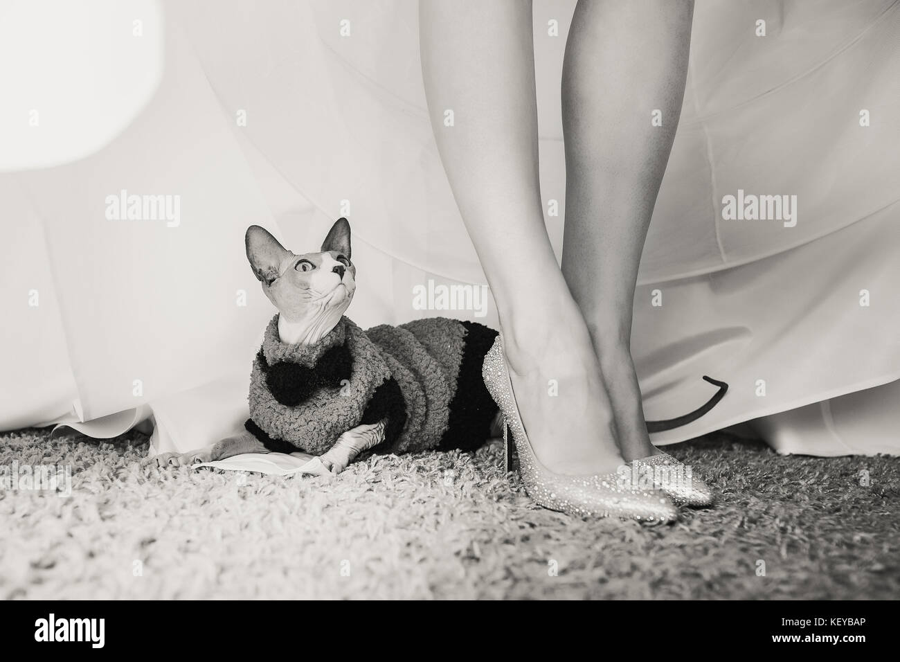 Cat suit wedding dress top