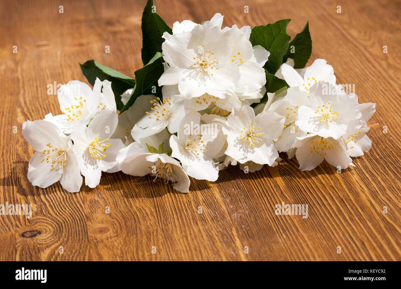 dirty flowers of jasmine Stock Photo Alamy