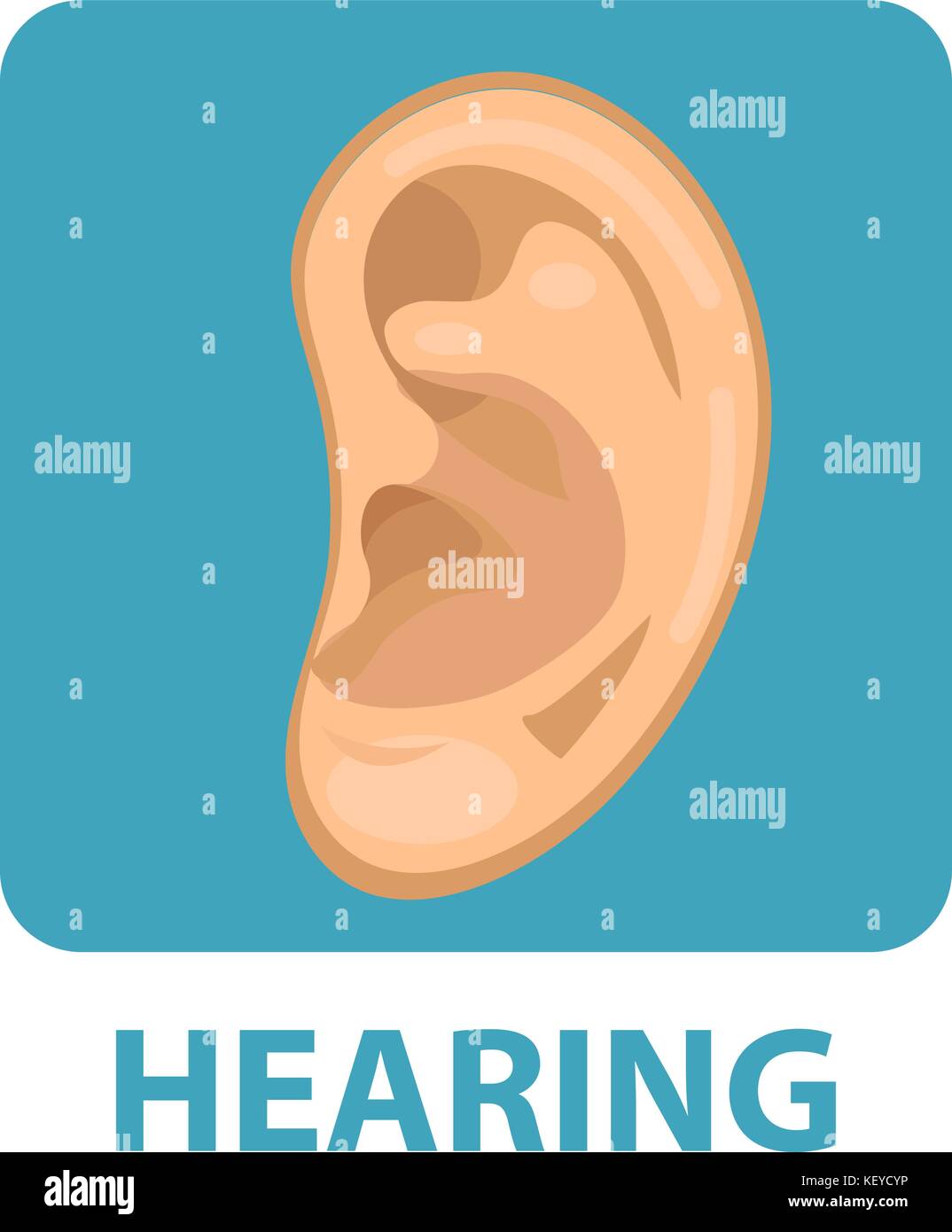 Human ear cartoon hi-res stock photography and images - Alamy