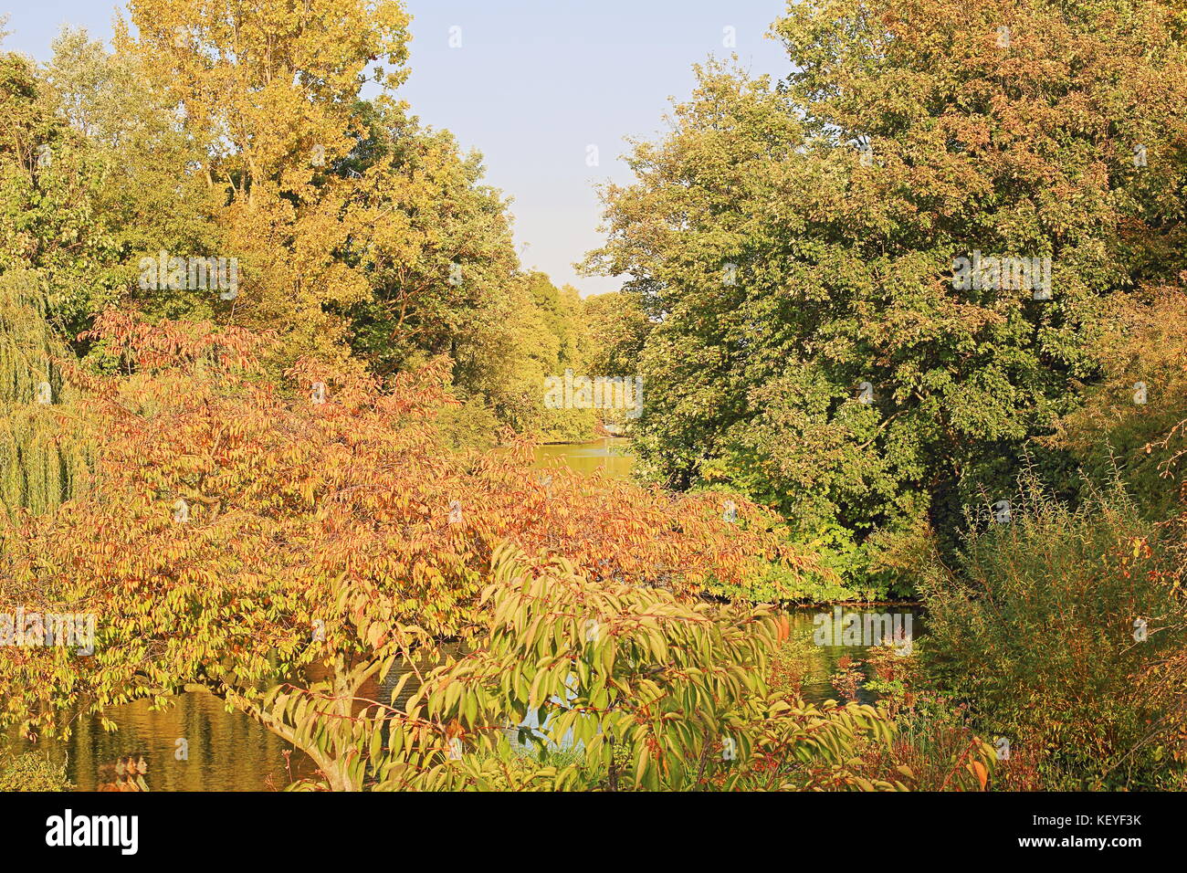 St James Park, London Stock Photo Alamy