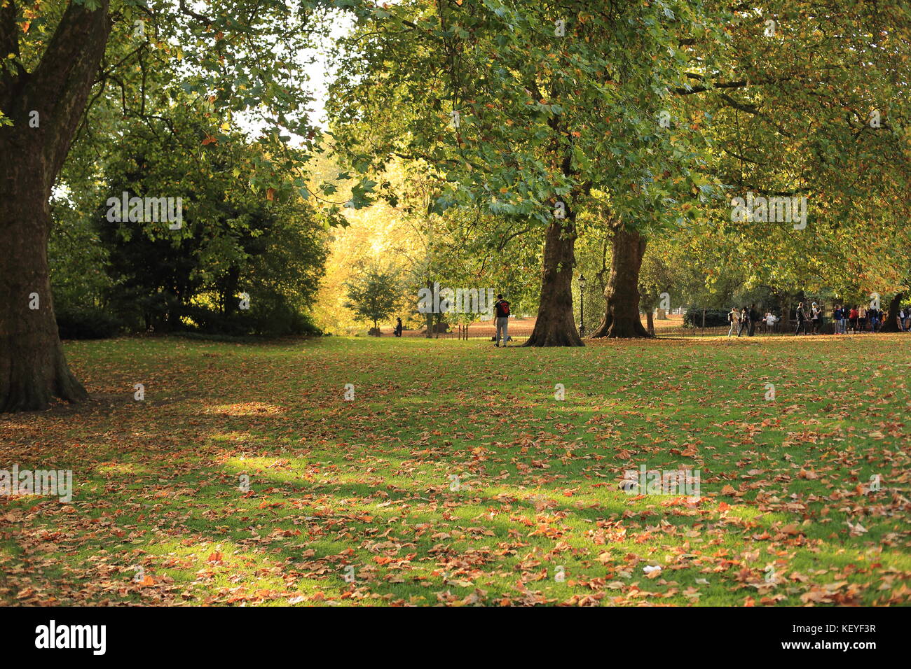 St James Park, London Stock Photo - Alamy