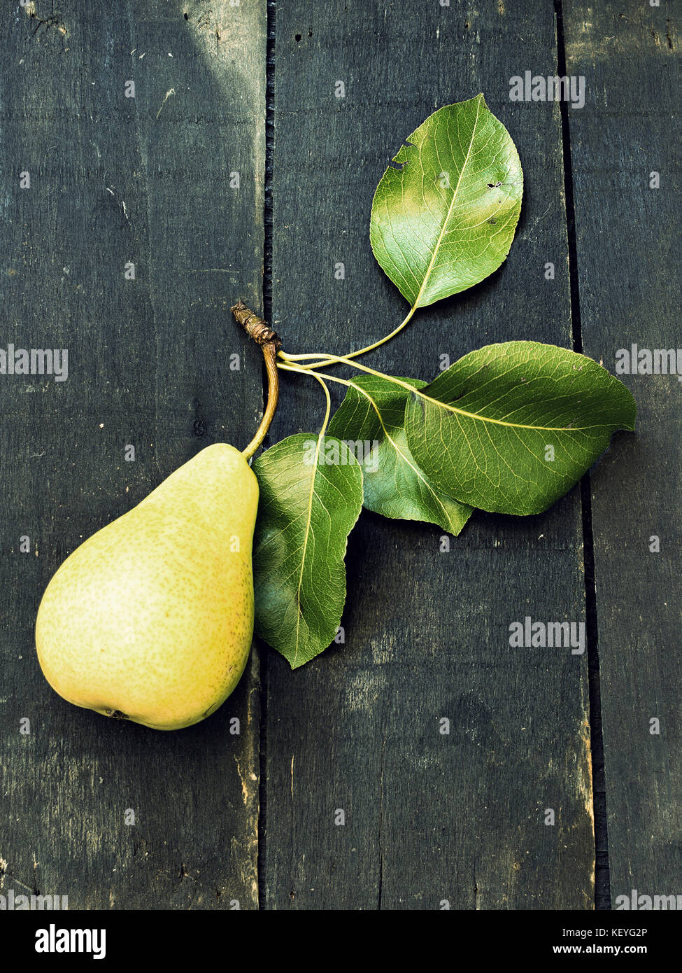 Just picked a pear on a dark wooden surface - vintage look Stock Photo
