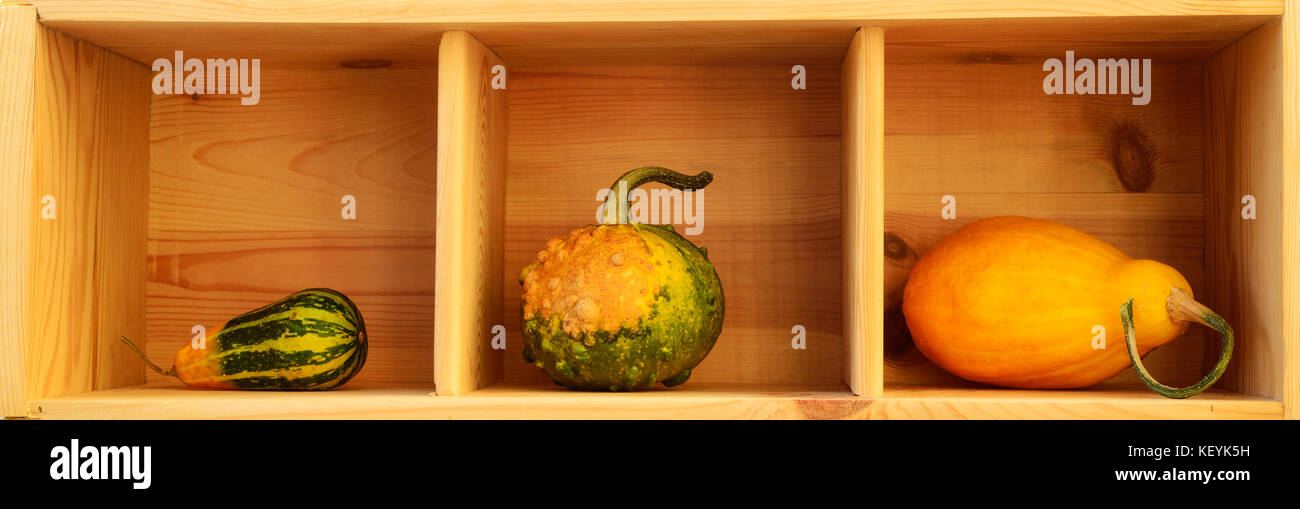 Three squash in a box hi-res stock photography and images - Alamy