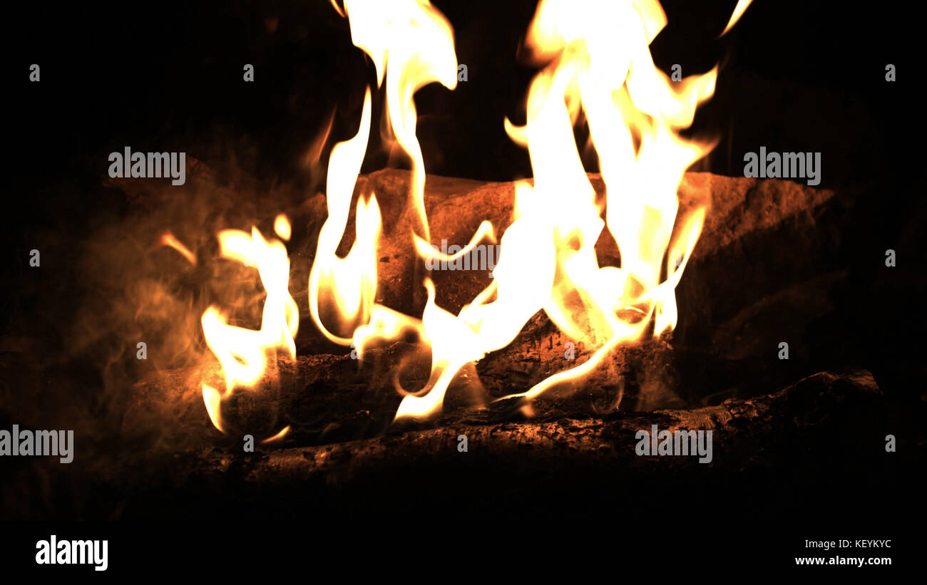 Burning wood in the fire. Camp fire in the night. Fire flames. Forest