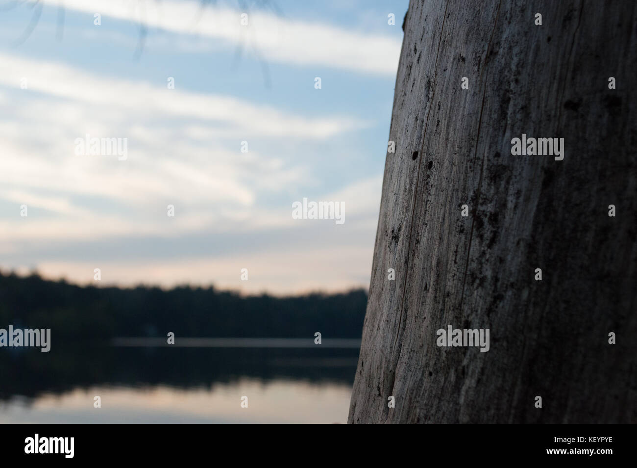 Foreground texture hi-res stock photography and images - Alamy