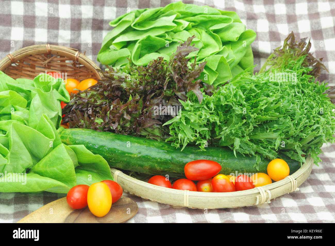 Red and green lollo lettuce,butterhead lettuce,japan cucumber,honey
