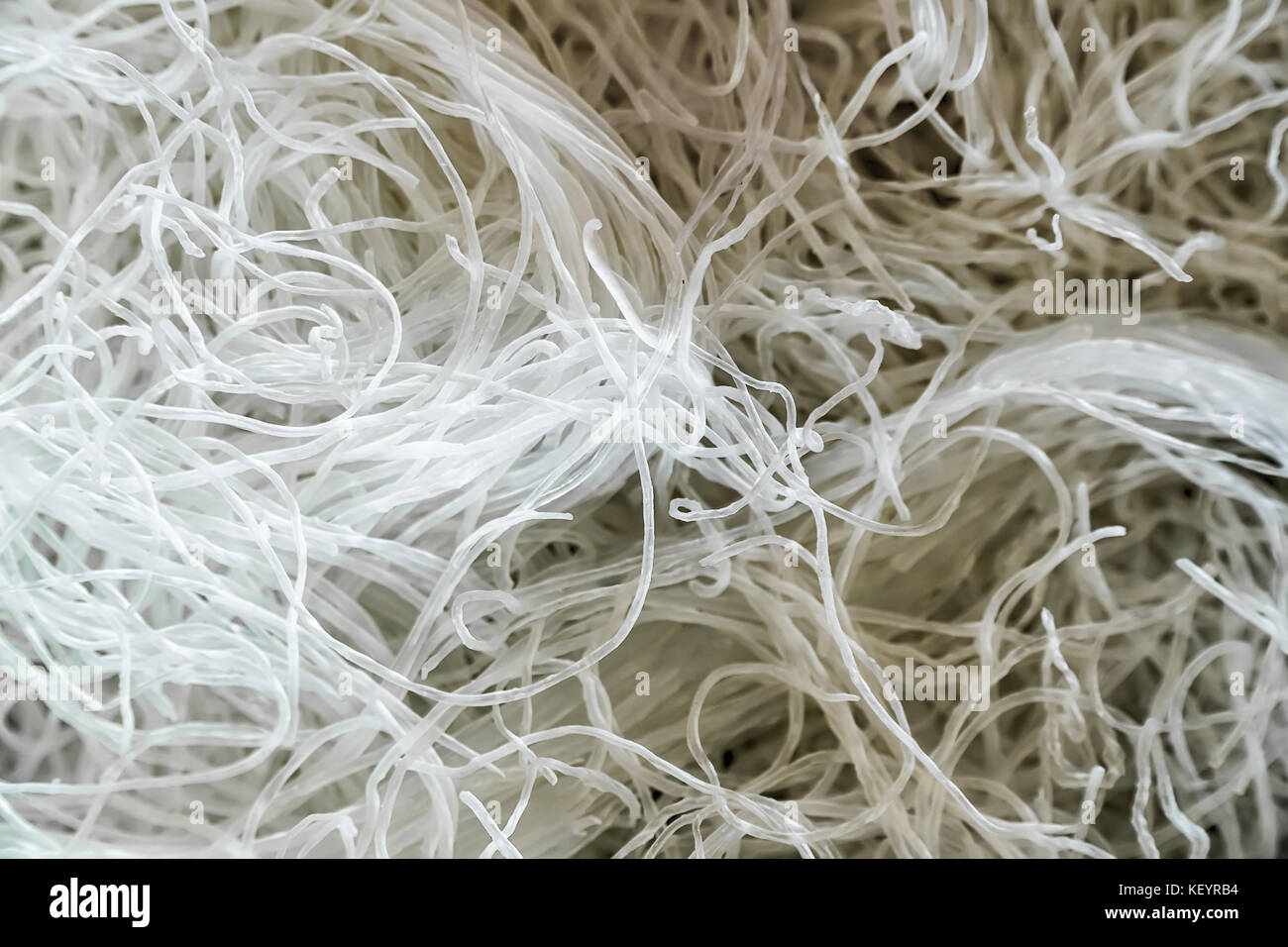 Roll white rice noodle, Asian Meal Stock Photo Alamy