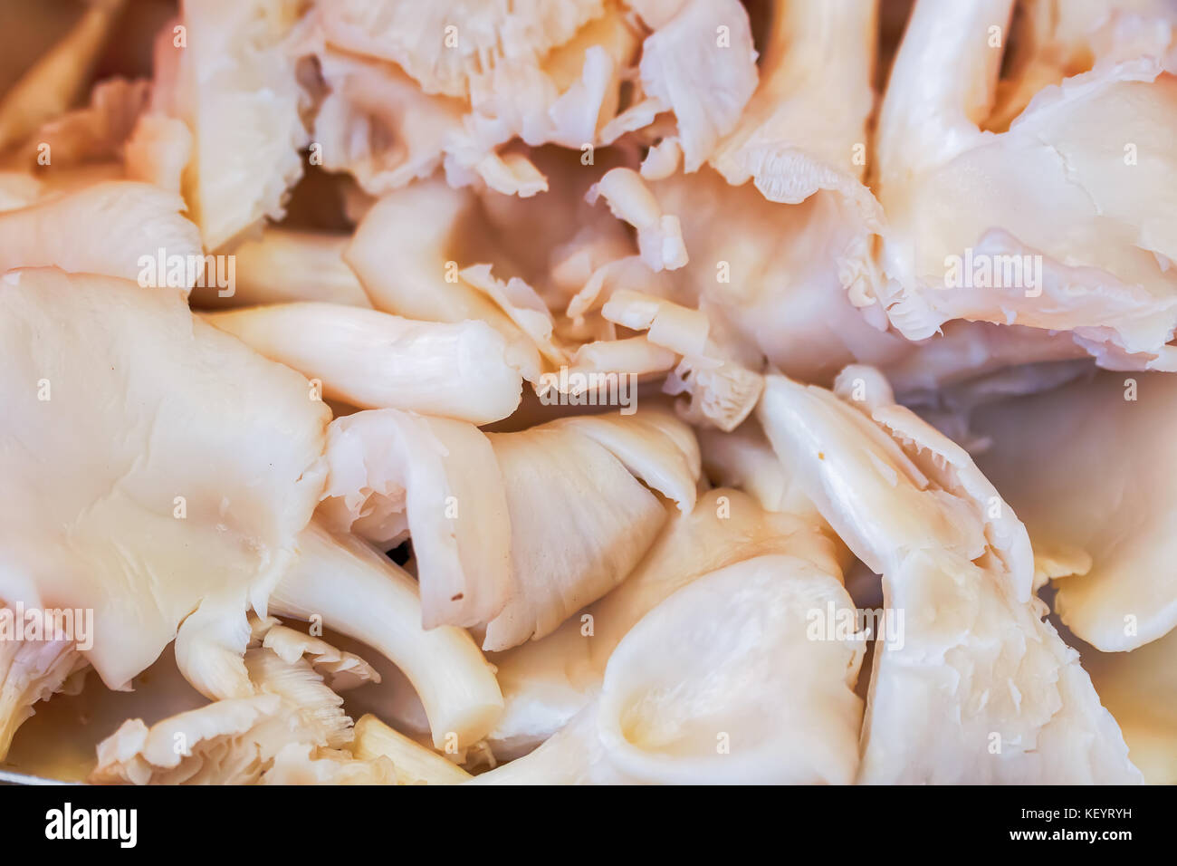 Group of sliced mushrooms ready for cooking Stock Photo - Alamy