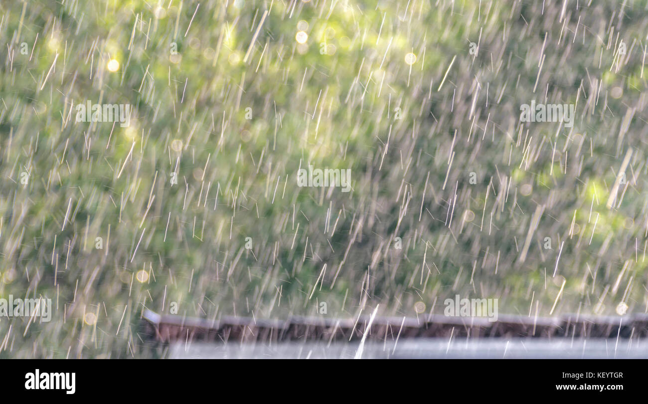downpour scenery with roof and vegetation Stock Photo